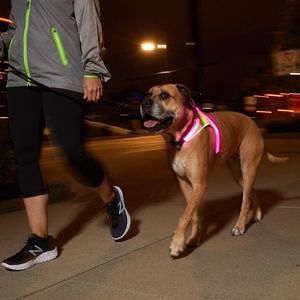 Noxgear | LightHound | Multi-Color Dog Light Harness | Medium | New in Box